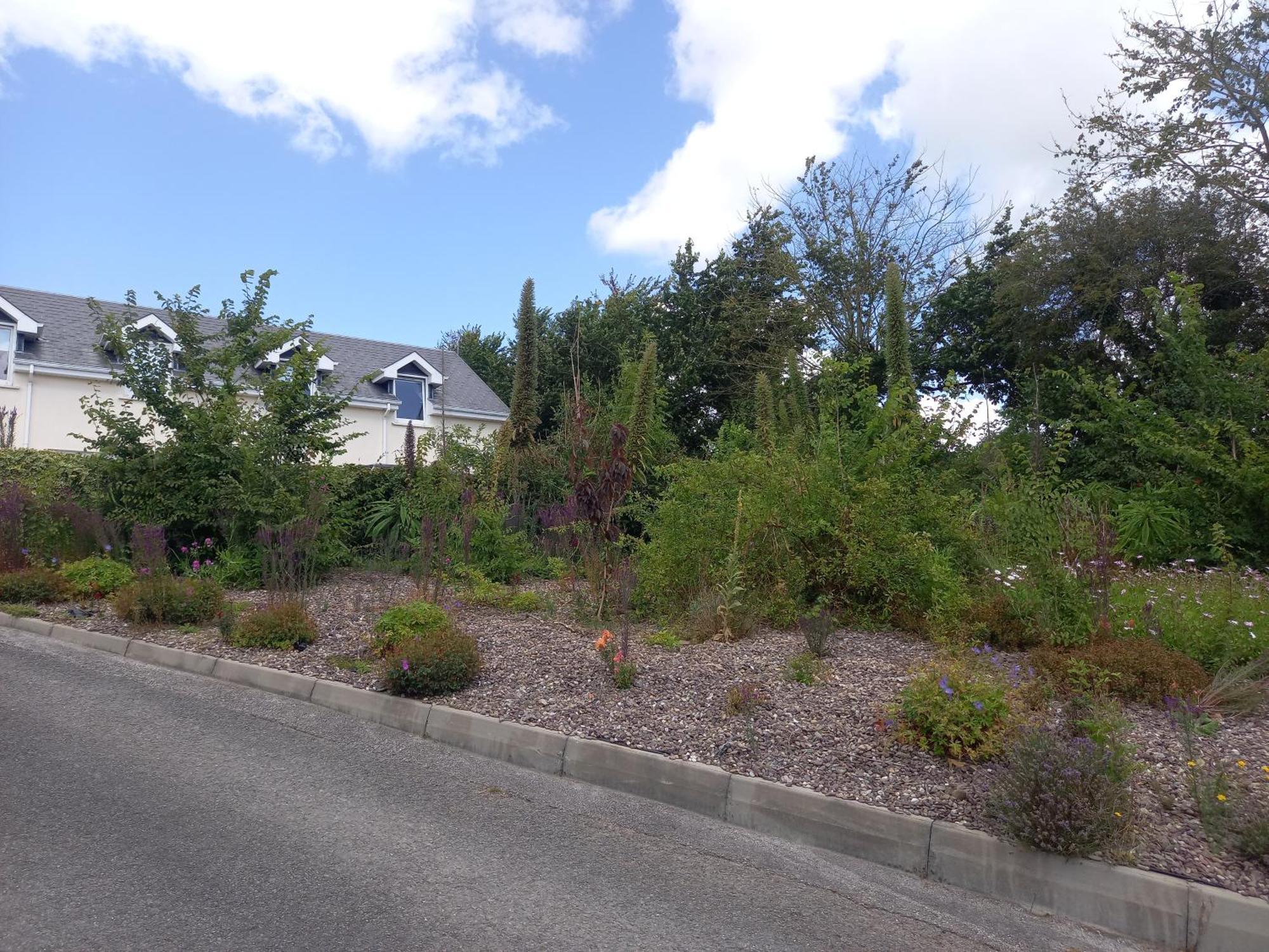 Teach Na Coille B&B Midleton Exterior photo